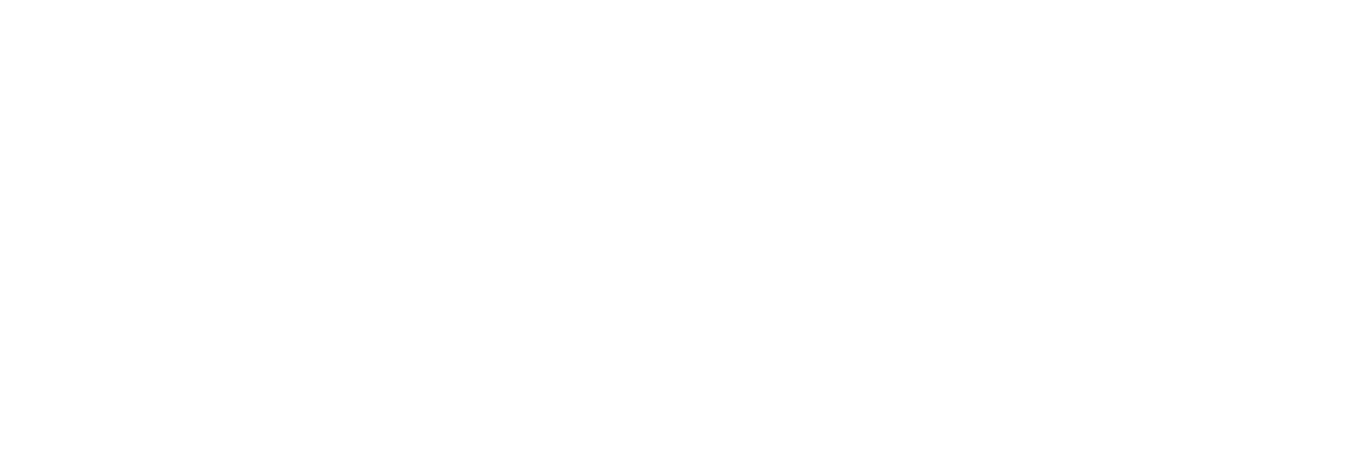 TekkNoir Logo